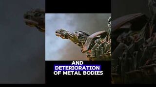 Do transformers get sick