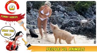 People vs Animals / Funny Videos