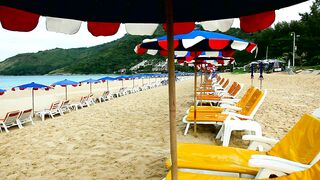 Empty yellow beach chairs