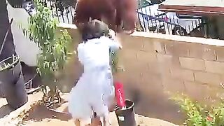 Such_a_brave_lady!_????_She_saves_this_dog_s_family_????_#family_#animals_#bear_#omg_#viral(