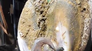 مسمار كامل قدم هذا الطور انه مريض