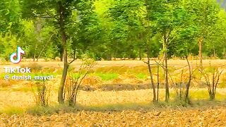 موسم اچھا اور انجواۓ کرتے ہوئے ماشاءاللہ