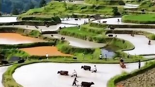 beautiful mountain village in the China