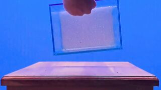 Mini aquascape V1