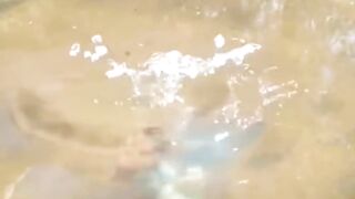 Kingfisher catch fish