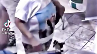 Хочу такую ​​птичку!