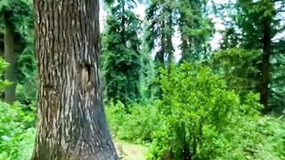 Kalam Swat Mountain Jungle #swat #swatvalley #kalamvalley #mountains #mountain #wild #kpk #pakistan