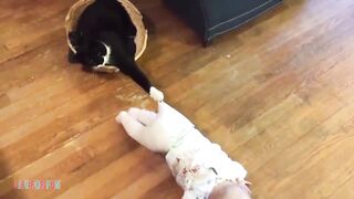 Funny videos about kids and animals ● jokes with cats and dogs / Funny Baby Playing With Cats