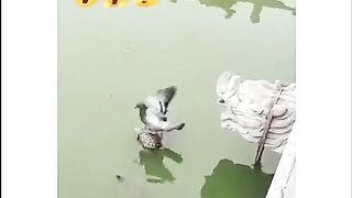 ایک مخلص دوست