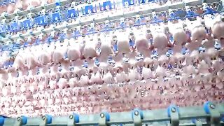 Incredible Scale! Mass Production Process in Taiwan Food Factory Best 5  Top 5