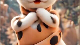 Cat dance video 3