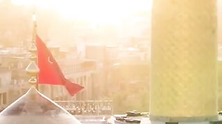 Sab_Yaad_Hai_Maula___Ali_Shanawar___#shorts(480p).
