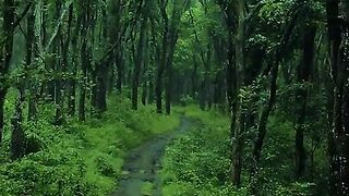 back to nature