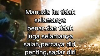 ayam broiler || kata kata lucu 482