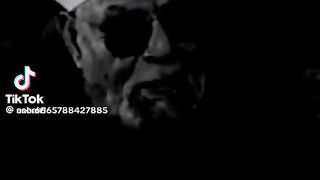 الشيخ الشعراوي 2