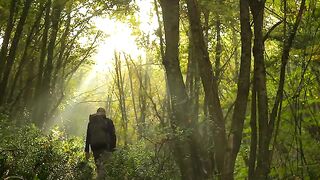 Reviving the Wilderness: Restoring a Year-Old Bushcraft Shelter, Cooking Lamb Head, and Enjoying Camp Life with My Dog"