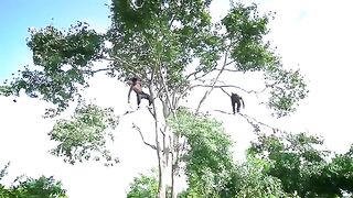 How to Build a Treehouse and Swimming Pool: A Step-by-Step Guide