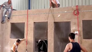 فديوهات مضحكه اول مره تشوفها ????????