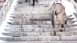 هل تلم لماذا تسير الحمير بهذه الطريقة