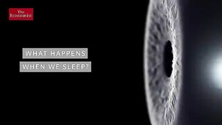 What happens when we sleep_(360P).