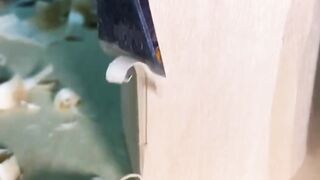 DIY Wood Art Mushroom