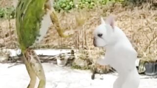 DOG and frogh party dance/कुत्ते और मेंढक की पार्टी डांस.#viral#short#ai#vidhero#vidking786