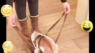 Best Fails FUNNY ???? HUMOR ???? #emoji #sad #funny #motivation #funnyvideos #funny #comedyvideos #love #happy #trend #tiktok #trending #fails # 3
