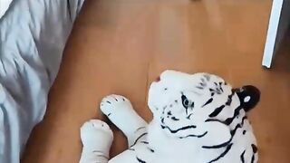 Incredibly hilarious animal moments
