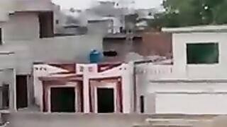 Laka kabootar