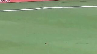 Pak vs nz today Mach Hailits