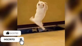 Try not to laugh