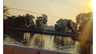 Jheel