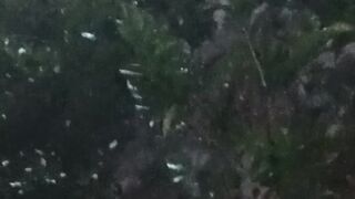 Foggy night