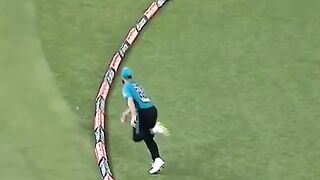 Is it out or not out...