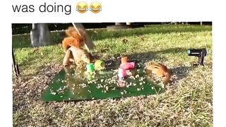 Having a bad day?!! ????????????