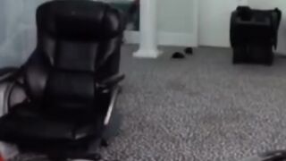 When You See A SPIDER ????