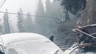 Snow falling beautiful places ????