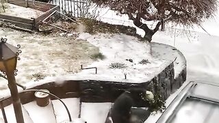 This is not a scene from the movie, it was actually snowing