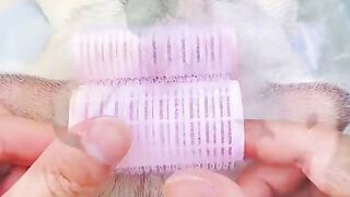 Cute cats  compilation 2023 | funny cats videos  | cute cats