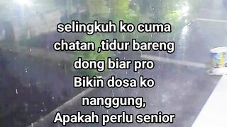 ayam broiler || kata kata lucu 488
