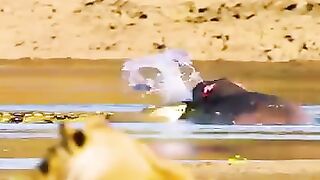 Erreur de crocodile