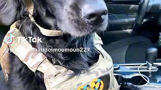 Un combattant au Sahel