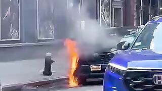 I should have stayed at home #funny