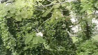View from inside the train