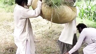 Funny # Funny video