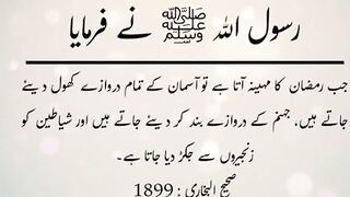 Hadis Shareef
