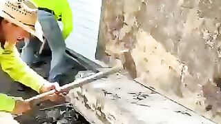 Test the brothers skills _funny shorts