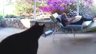Most Incredible Moments Caught on CCTV Camera 2