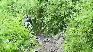 Suara Aneh di Hutan