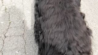 **"Nature's Journey with My Dog"**
